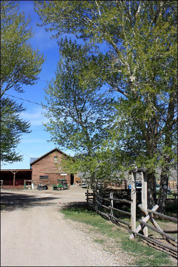 Rand Creek Ranch Hotel Уапити Стая снимка